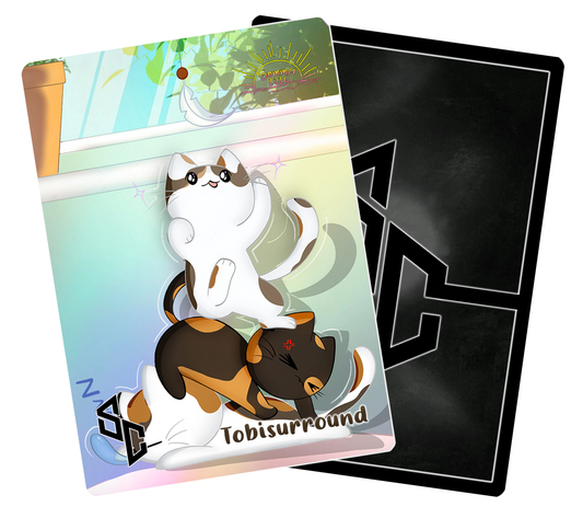 StreamerCard von Tobisurround [Sommer2026]